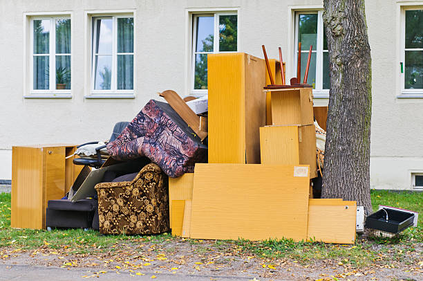 Best Shed Removal  in Lower Lake, CA