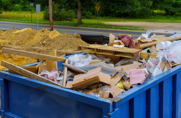 Best Recycling Services for Junk  in Lower Lake, CA